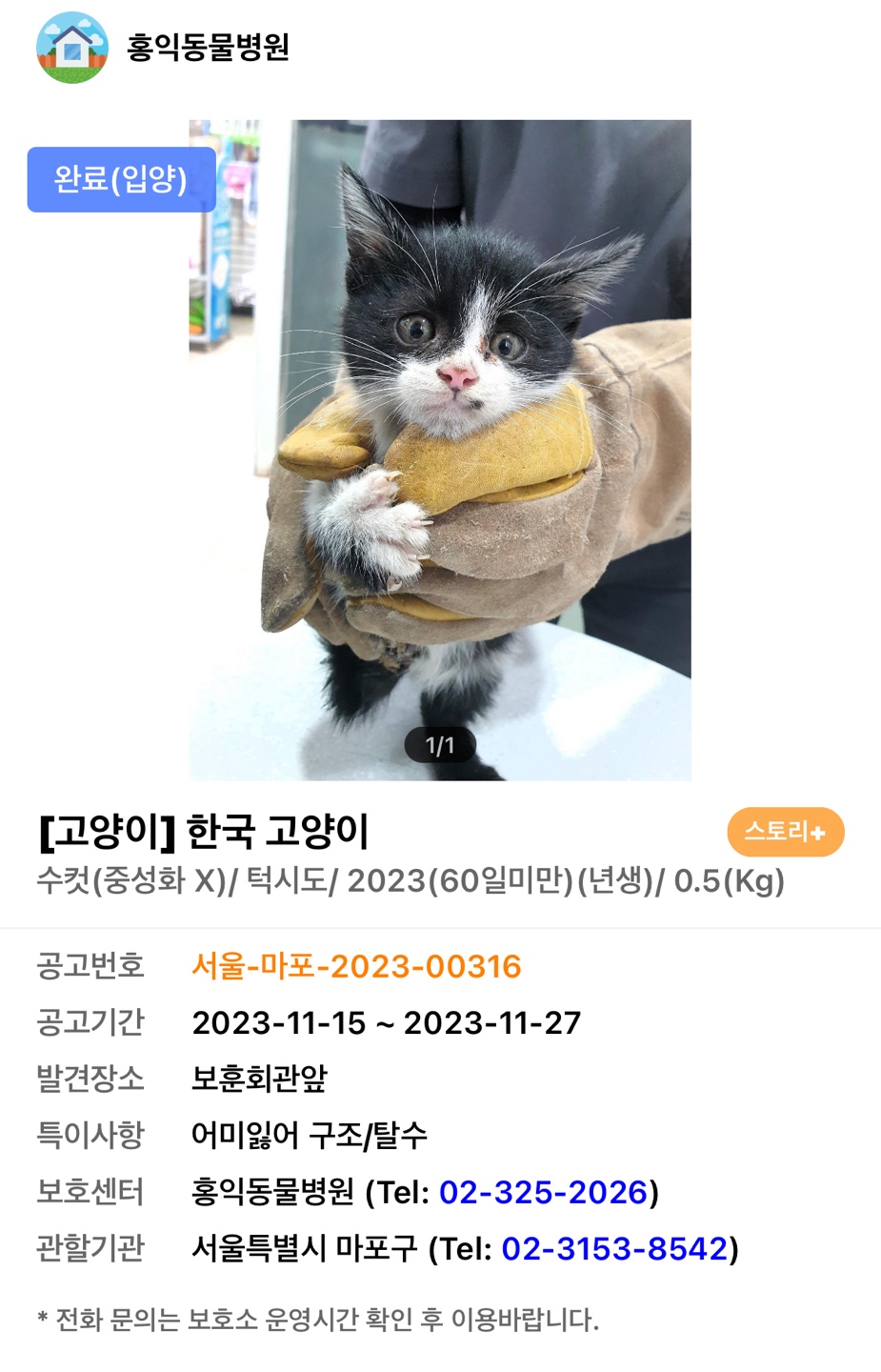 단이 첫 만남