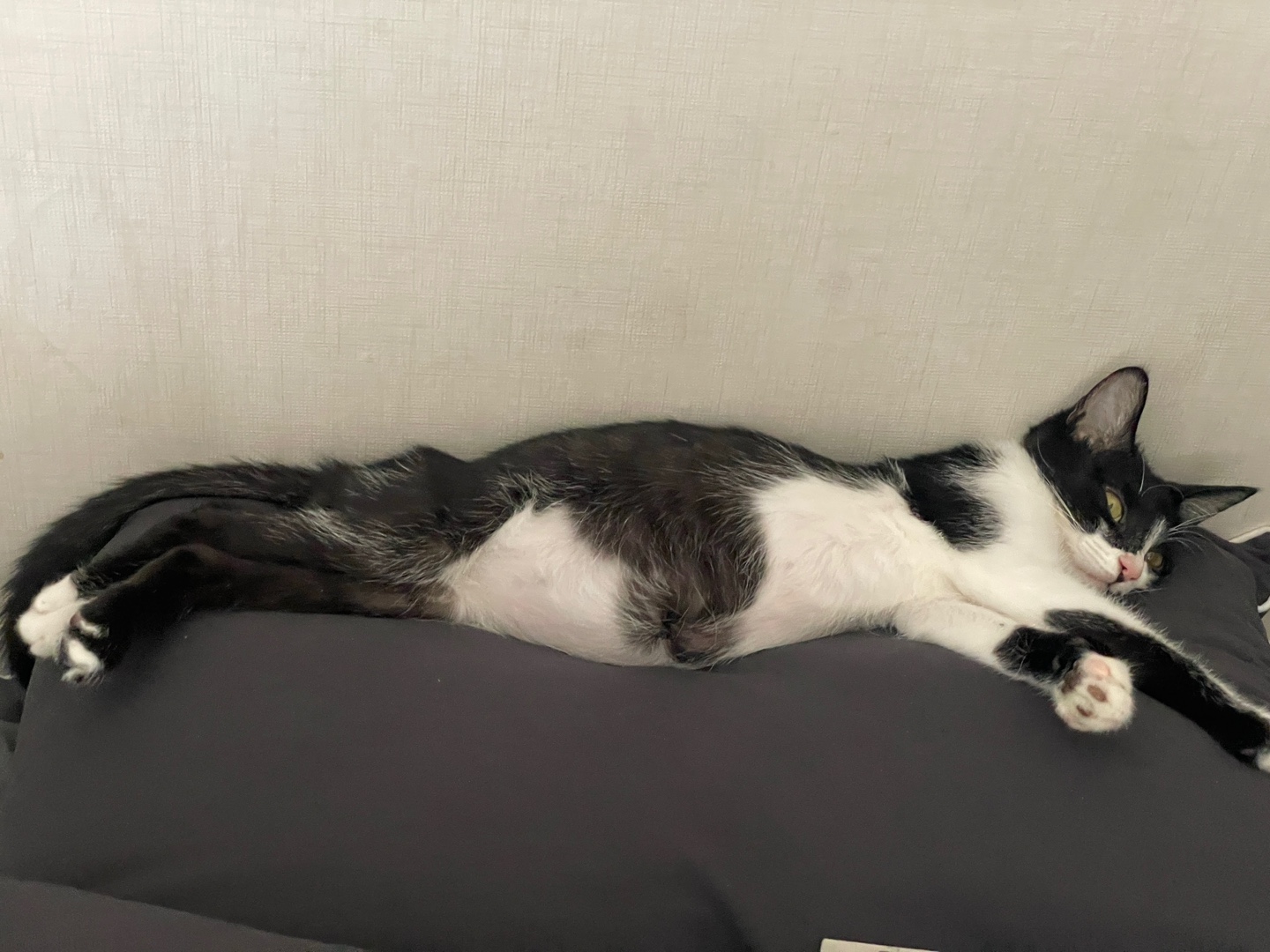 회복